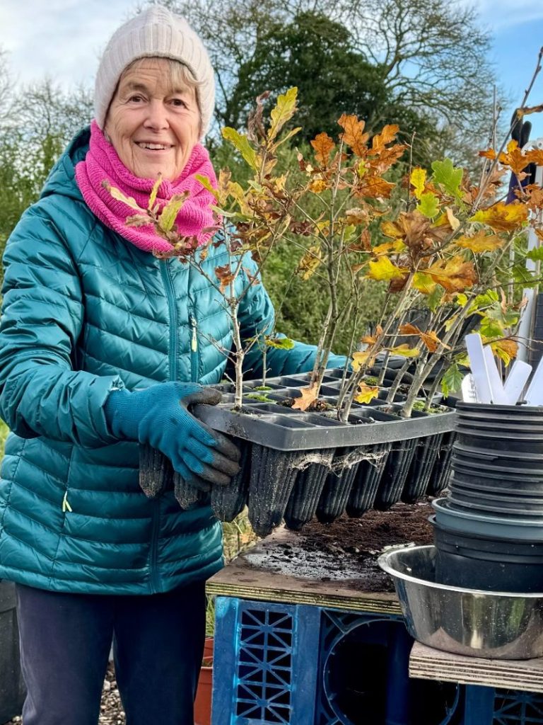 Shelfanger Community Tree Nursery Volunteering 2